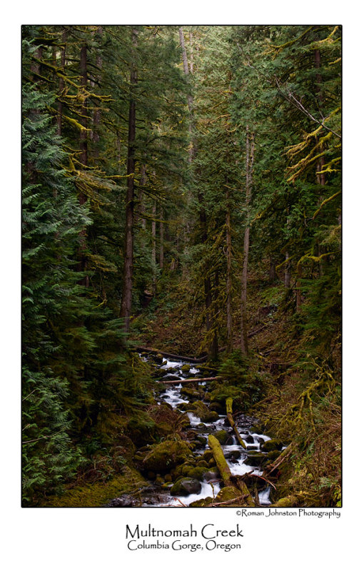 Multnomah Creek.jpg