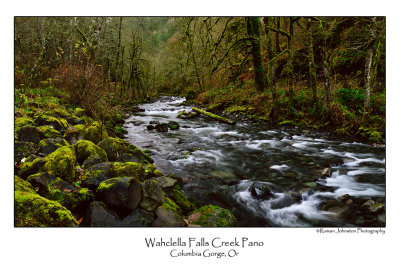 Wahclella Falls Creek Pano.jpg