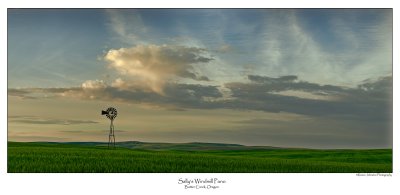 Sallys Windmill Pano.jpg