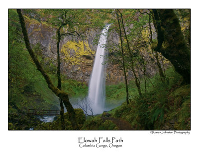 Elowah Falls Path.jpg