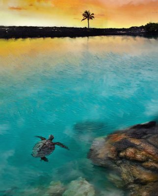 Turtle swimming at sunset