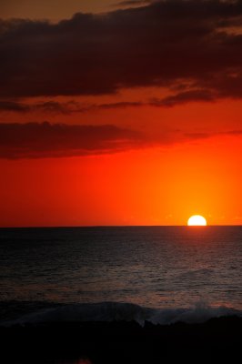 DSC_5009.jpg