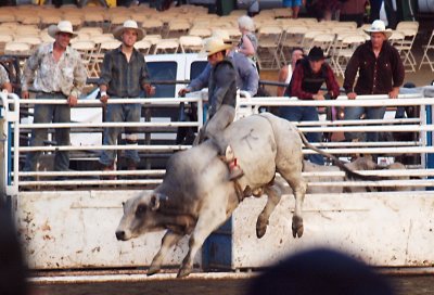 rodeo
