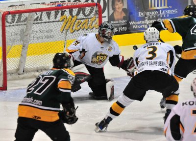 Victoria Grizzlies