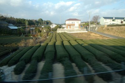 from the Shinkansen