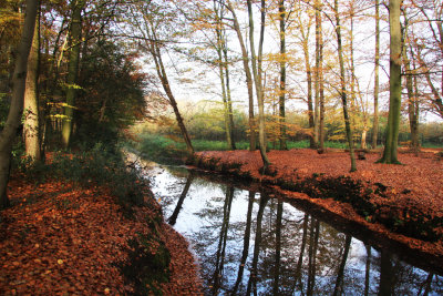 Herfst in Ruurlo