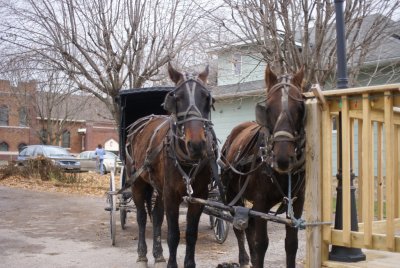 Amish at the Market