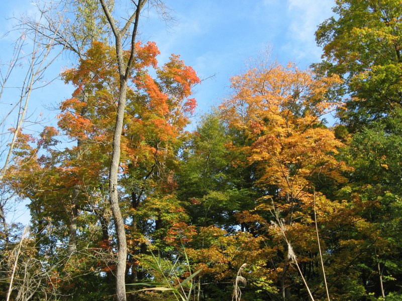 A Touch of Fall