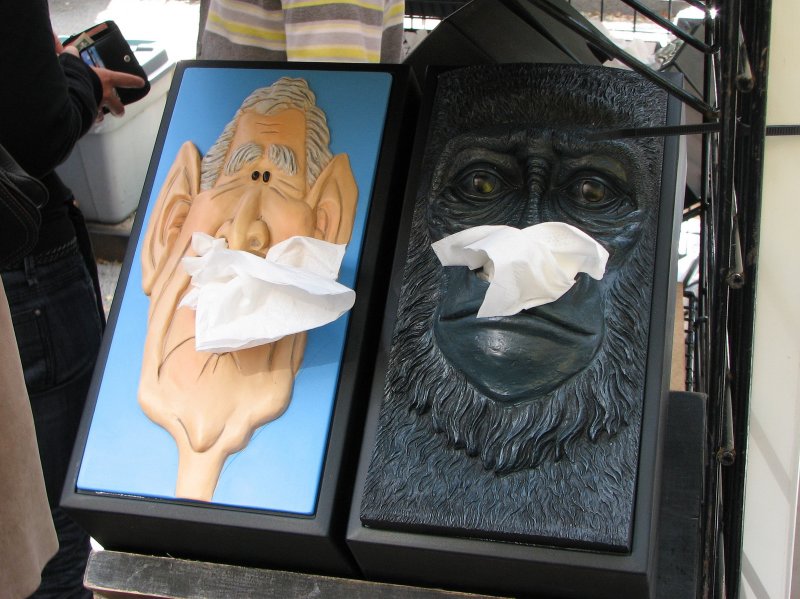 Twin Tissue Boxes