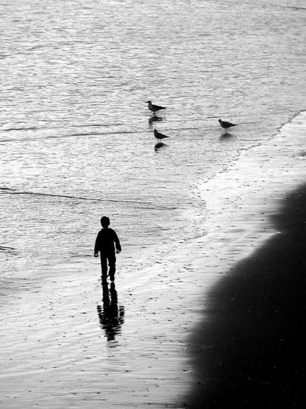 Wading in the Winter Surf