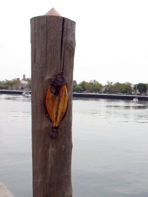 Fileted Flounder