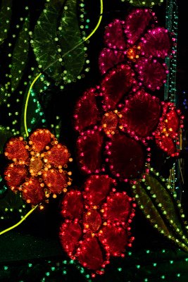 Spectromagic Flowers