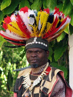 African Marimba Player