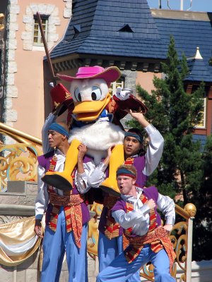 Pirate Donald