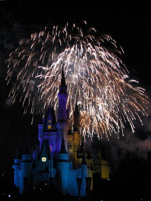 Wishes Fireworks