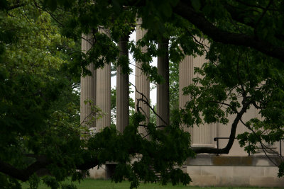 Mansion Columns Through the Trees