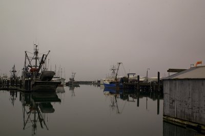 Harbor Still