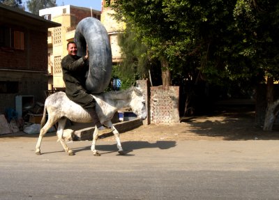 Hardly Tireless Rider