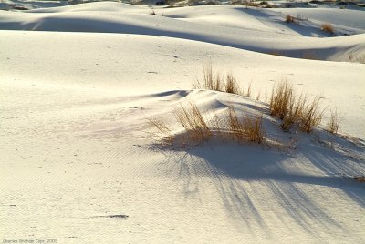 Dunes