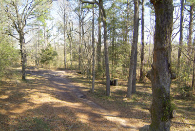 mywoods