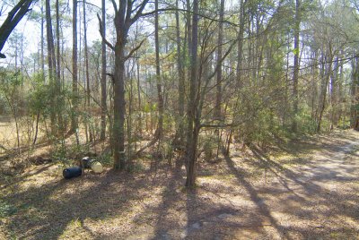 mywoods