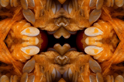 Jaws