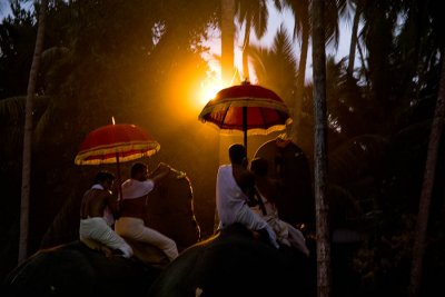 Hindu Festival Elephants, Varkala