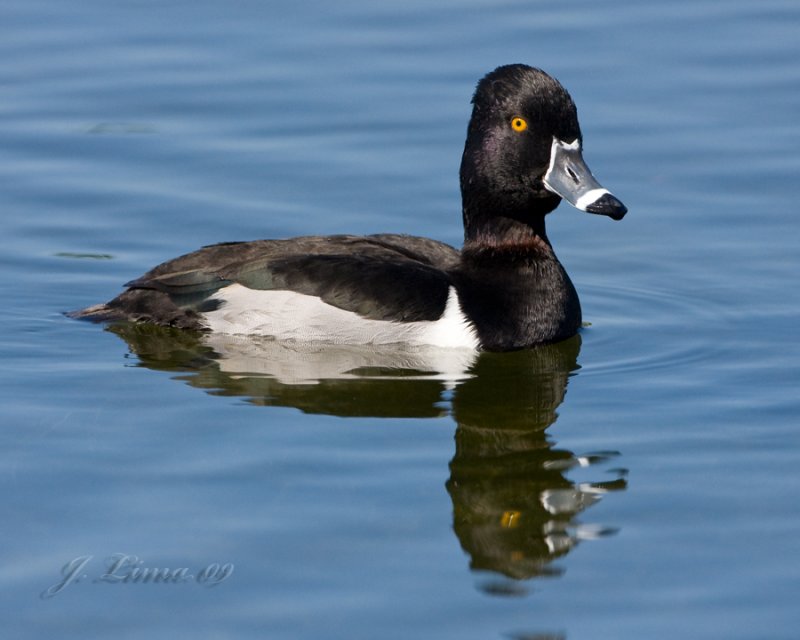 _MG_6864.jpg