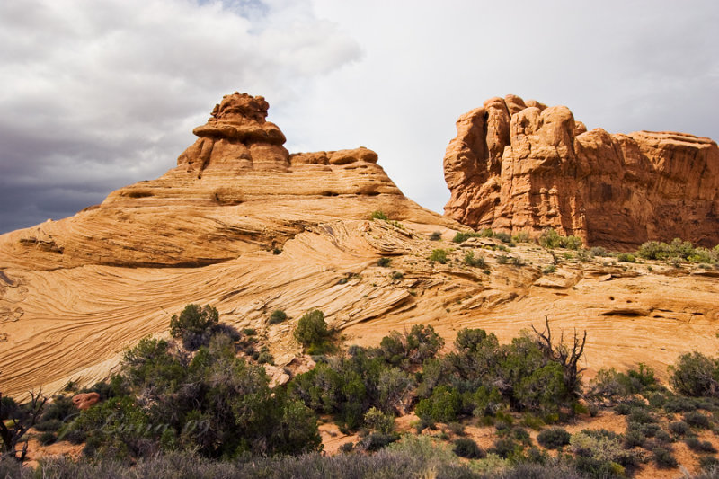_MG_6455_1.jpg
