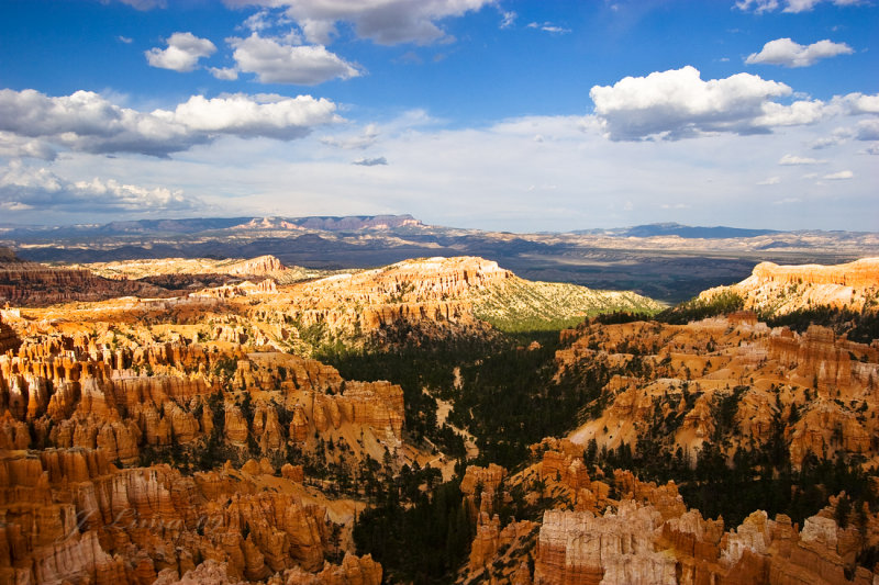 _MG_6110 1.jpg