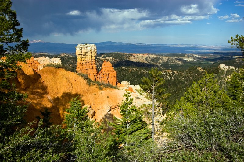 _MG_5781.jpg