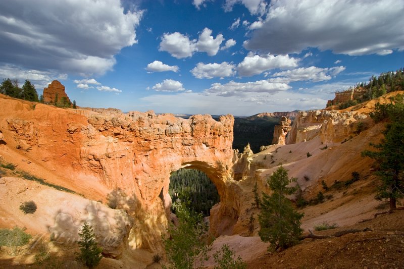 _MG_5772.jpg