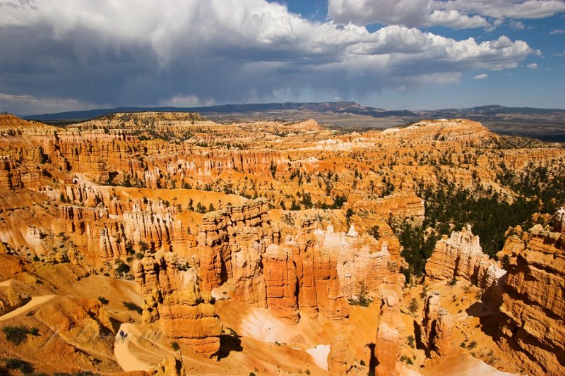 _MG_5697 1.jpg