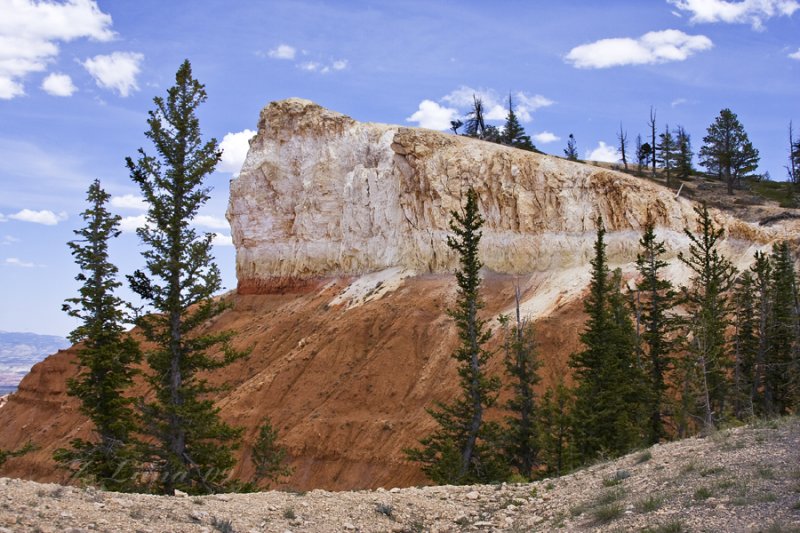 _MG_5619.jpg
