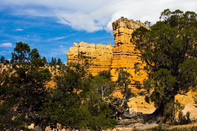 _MG_5790.jpg