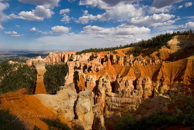 _MG_5778.jpg