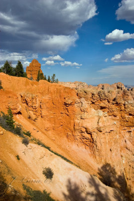 _MG_5776.jpg