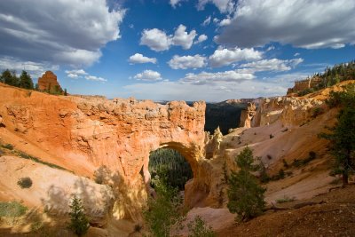 _MG_5772.jpg