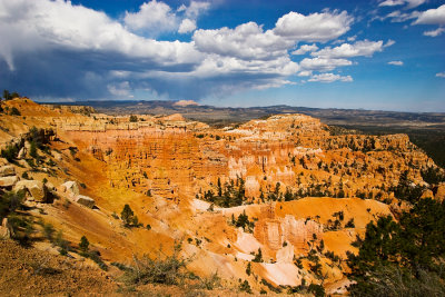 _MG_5719.jpg