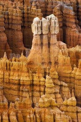 _MG_5702.jpg