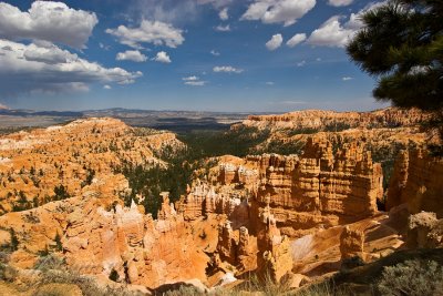 _MG_5679 1.jpg
