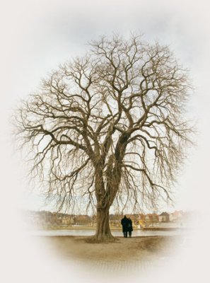 A tree - you and me.