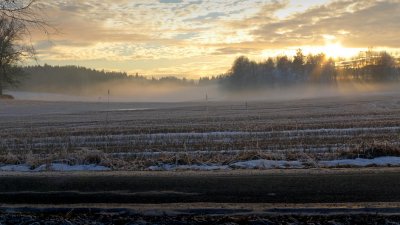 January Afternoon, Remmen, Halden #5