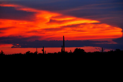 Arizona Sunsets 2010