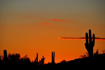 Arizona Sunsets 2010