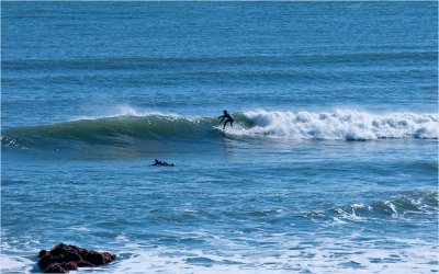 Surfing in Newport