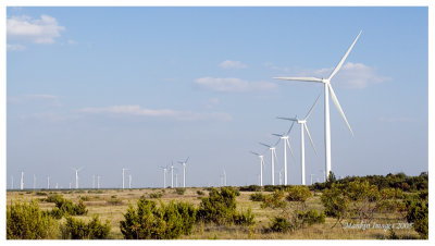 Wind Turbines, Horse Hollow, TX