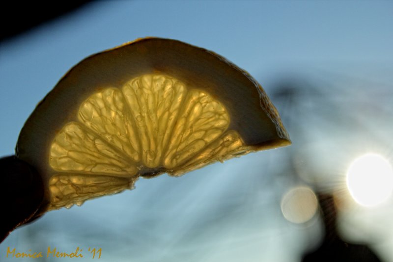 Lemongate