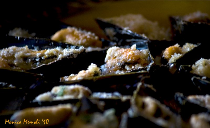 Flight over gratin mussels field