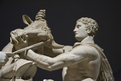 Toro Farnese